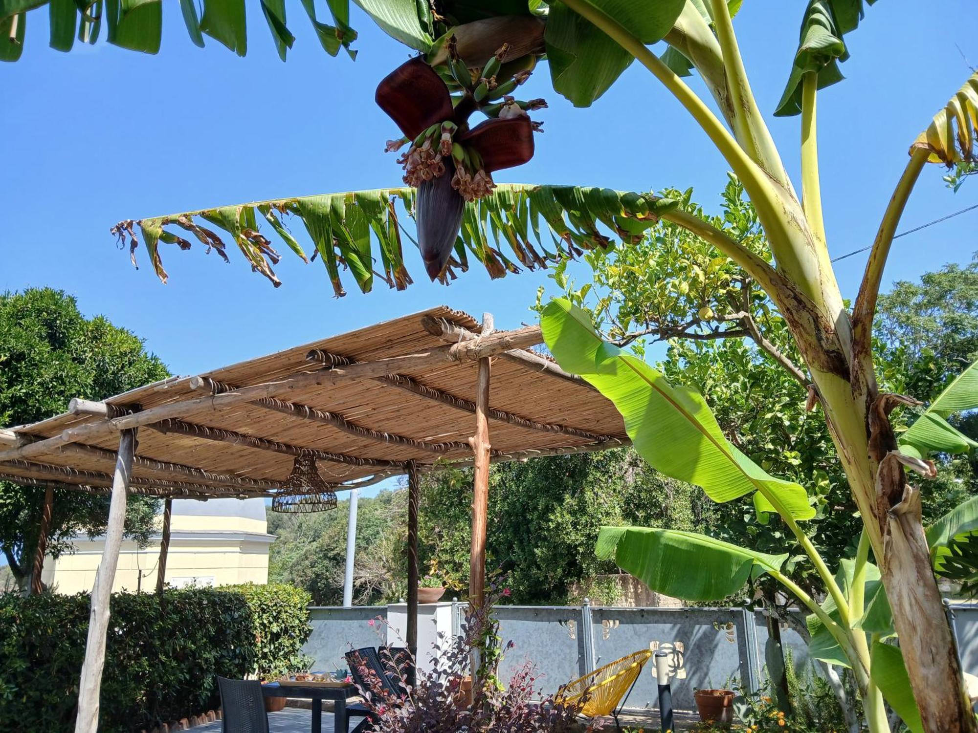פרוסידה Sonnino B&B חדר תמונה